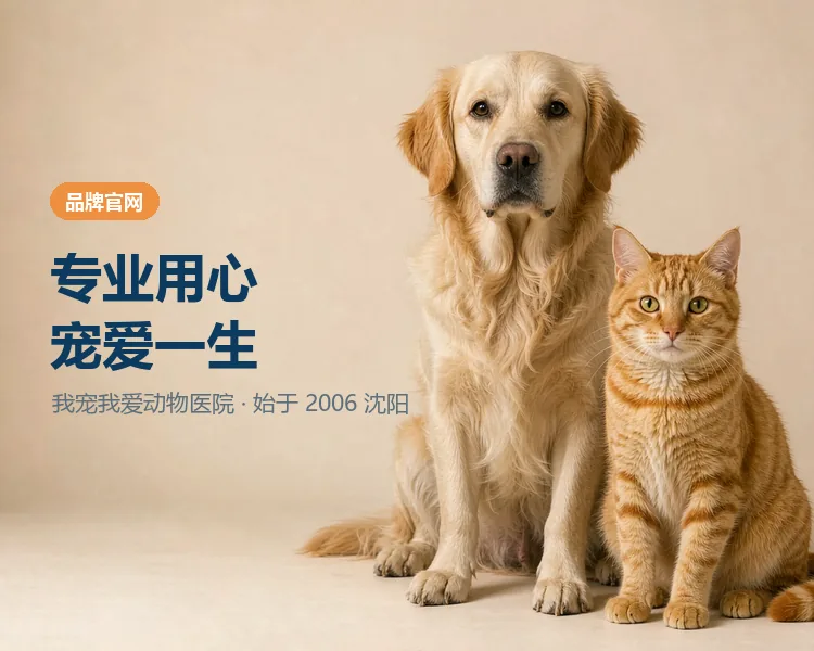 我宠我爱动物医院