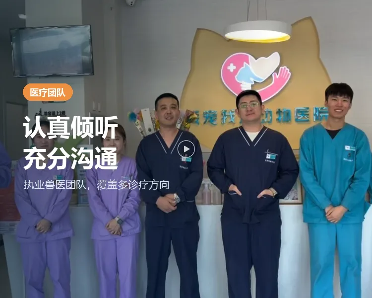 我宠我爱动物医院