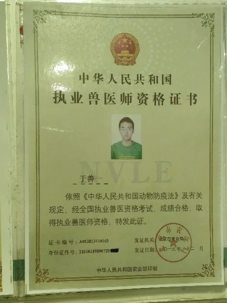 于善一执业兽医资格证书照片,我宠我爱动物医院沈阳新世界店医生,擅长中兽医与临床全科