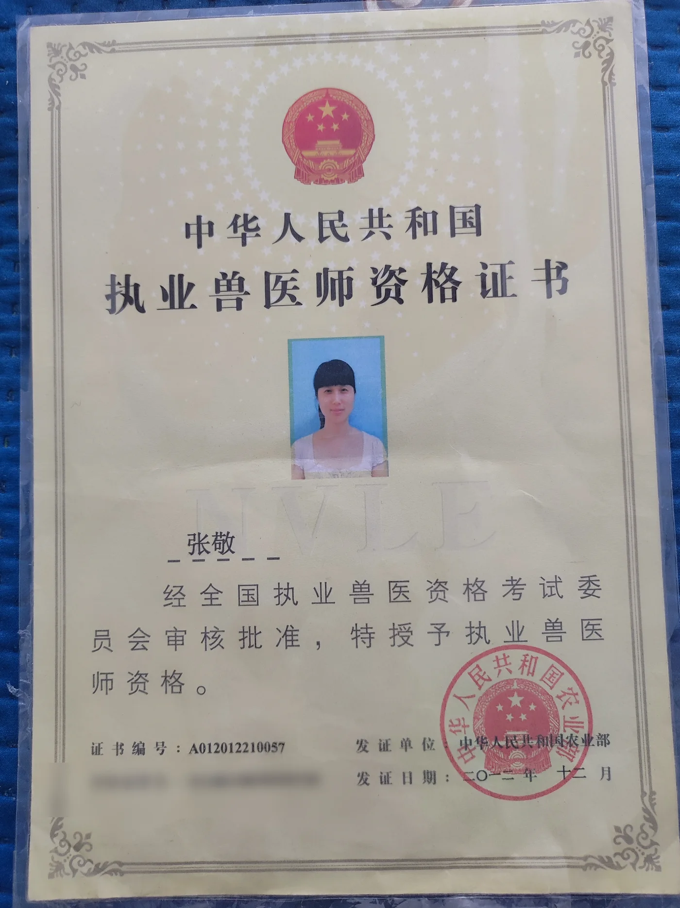 张敬执业兽医师资格证书照片,证书编号A012012210057,我宠我爱动物医院沈阳保工店医生,2012年12月发证