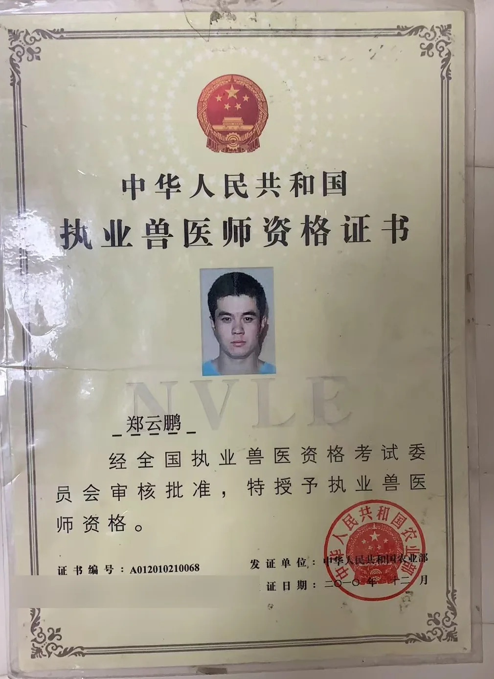 郑云鹏执业兽医师资格证书照片,证书编号A012010210068,我宠我爱动物医院沈阳保工店诊疗主任,2010年发证,20年临床经验