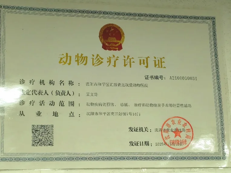 我宠我爱动物医院沈阳新世界店动物诊疗许可证照片,证书编号A2101010031,机构名称沈阳市和平区汇新我宠我爱动物医院