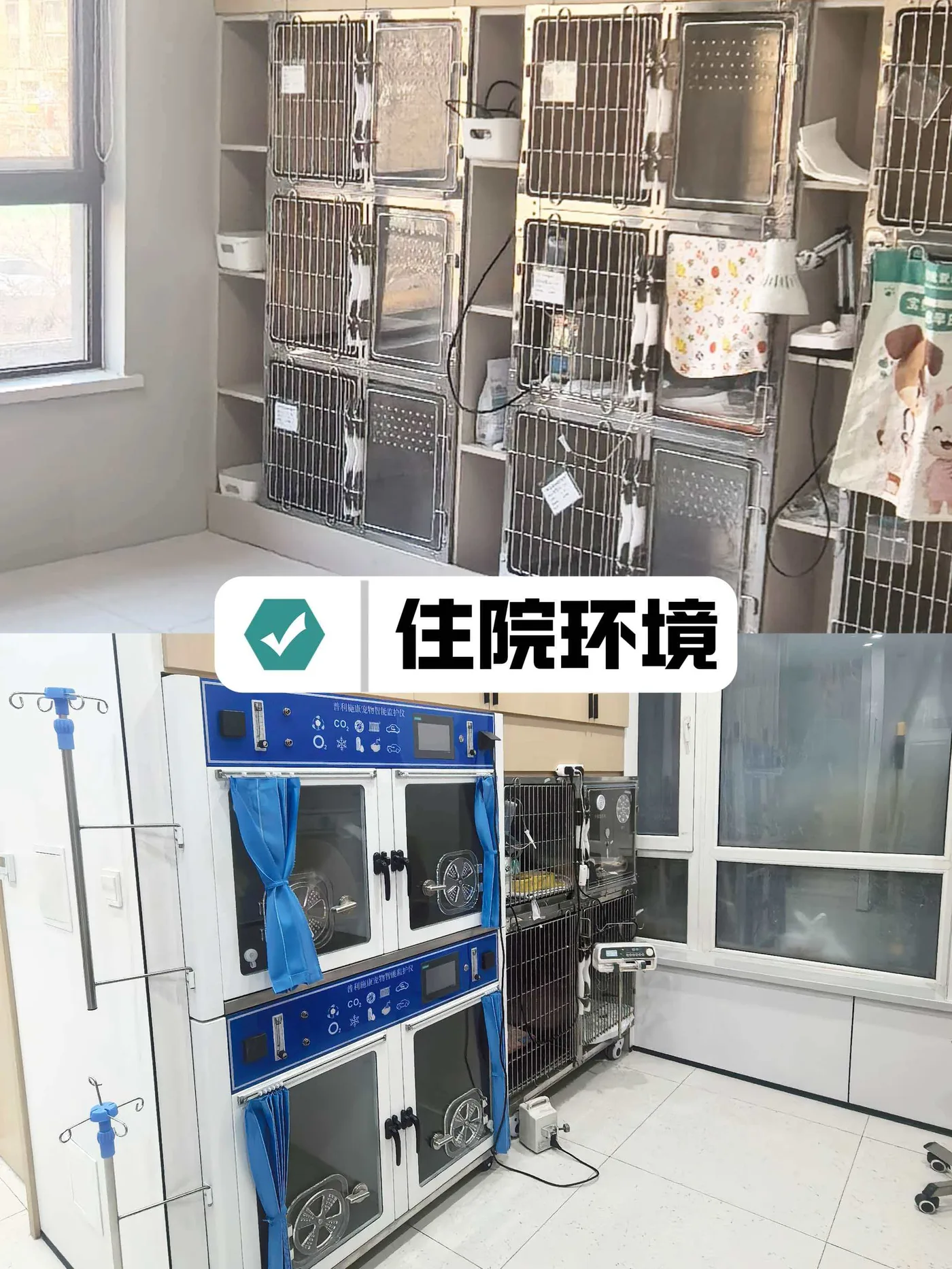 保工店住院部笼位环境照片