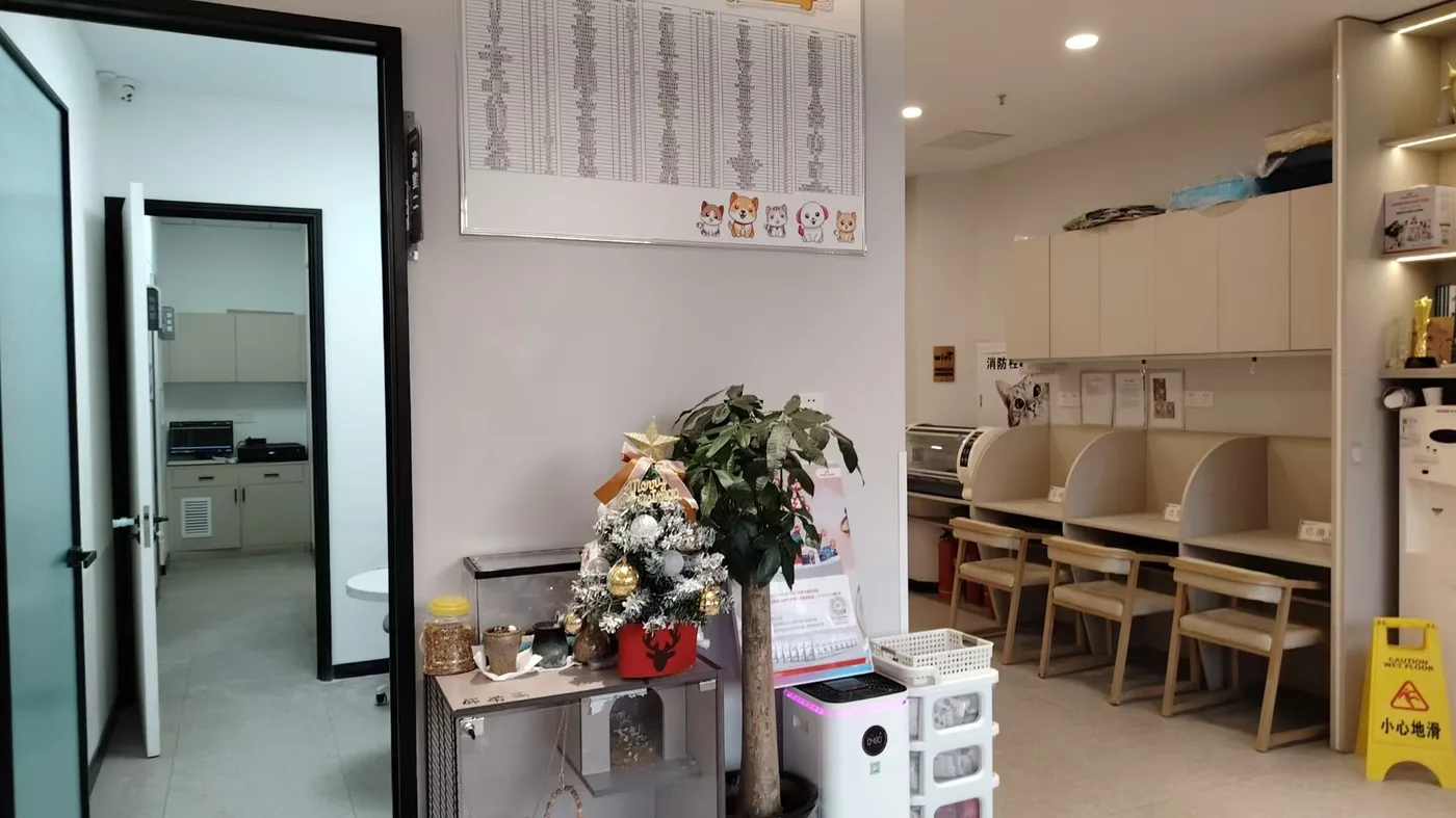 新市府店候诊区与走廊环境照片