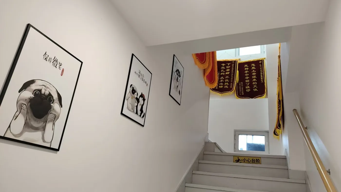 新市府店楼梯间锦旗与装饰画照片