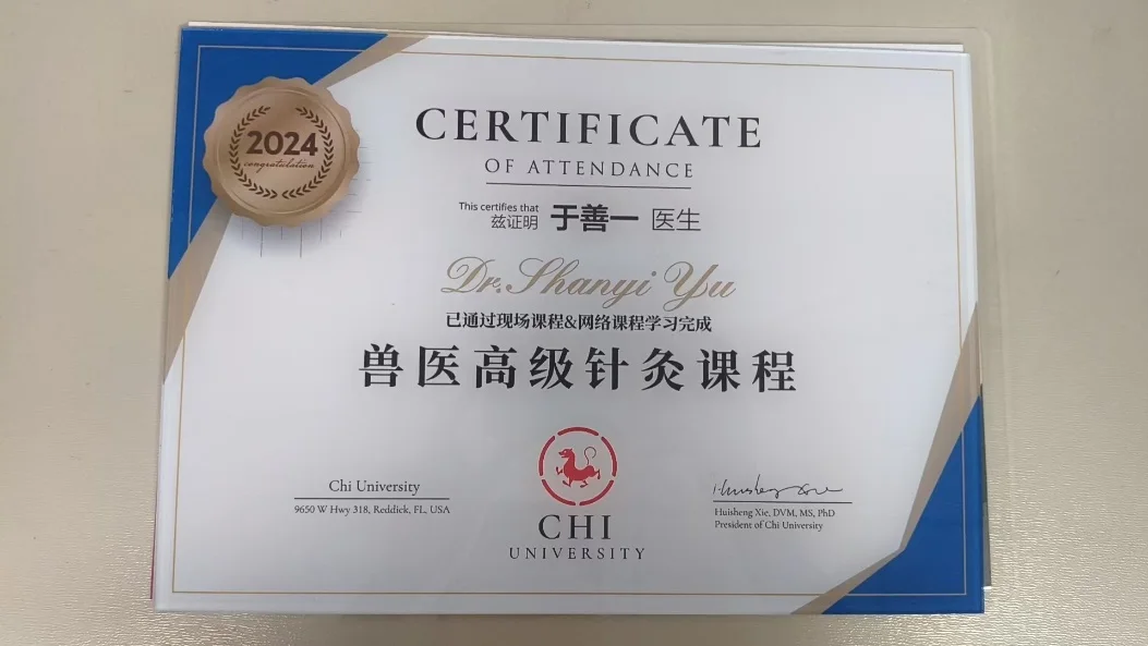 于善一兽医高级针灸课程结业证书照片,我宠我爱动物医院沈阳新世界店医生中兽医进修记录