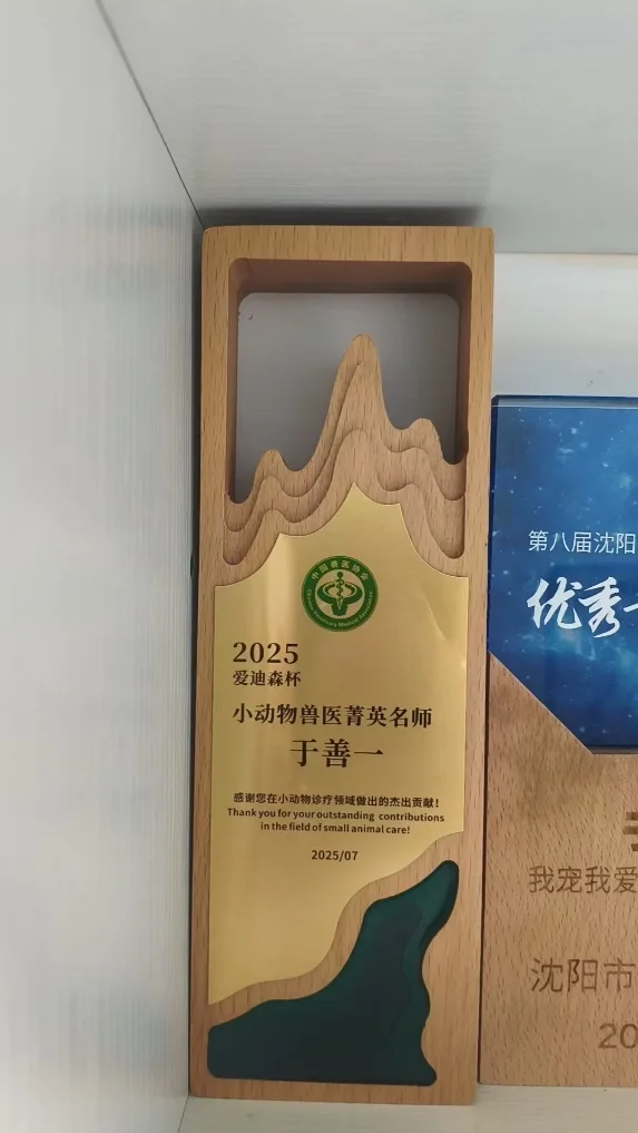 于善一2024年荣誉奖杯照片,我宠我爱动物医院沈阳新世界店医生个人荣誉